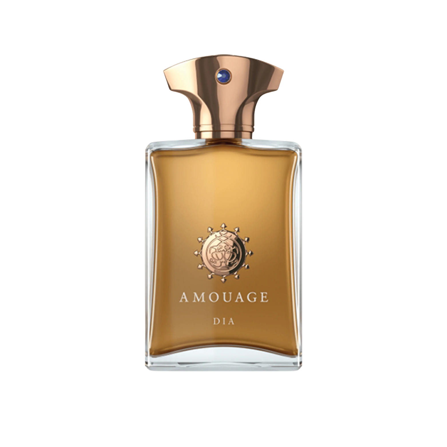 AMOUAGE DIA EDP FOR MEN 100ML
