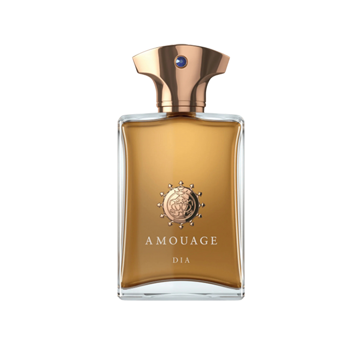 AMOUAGE DIA EDP FOR MEN 100ML