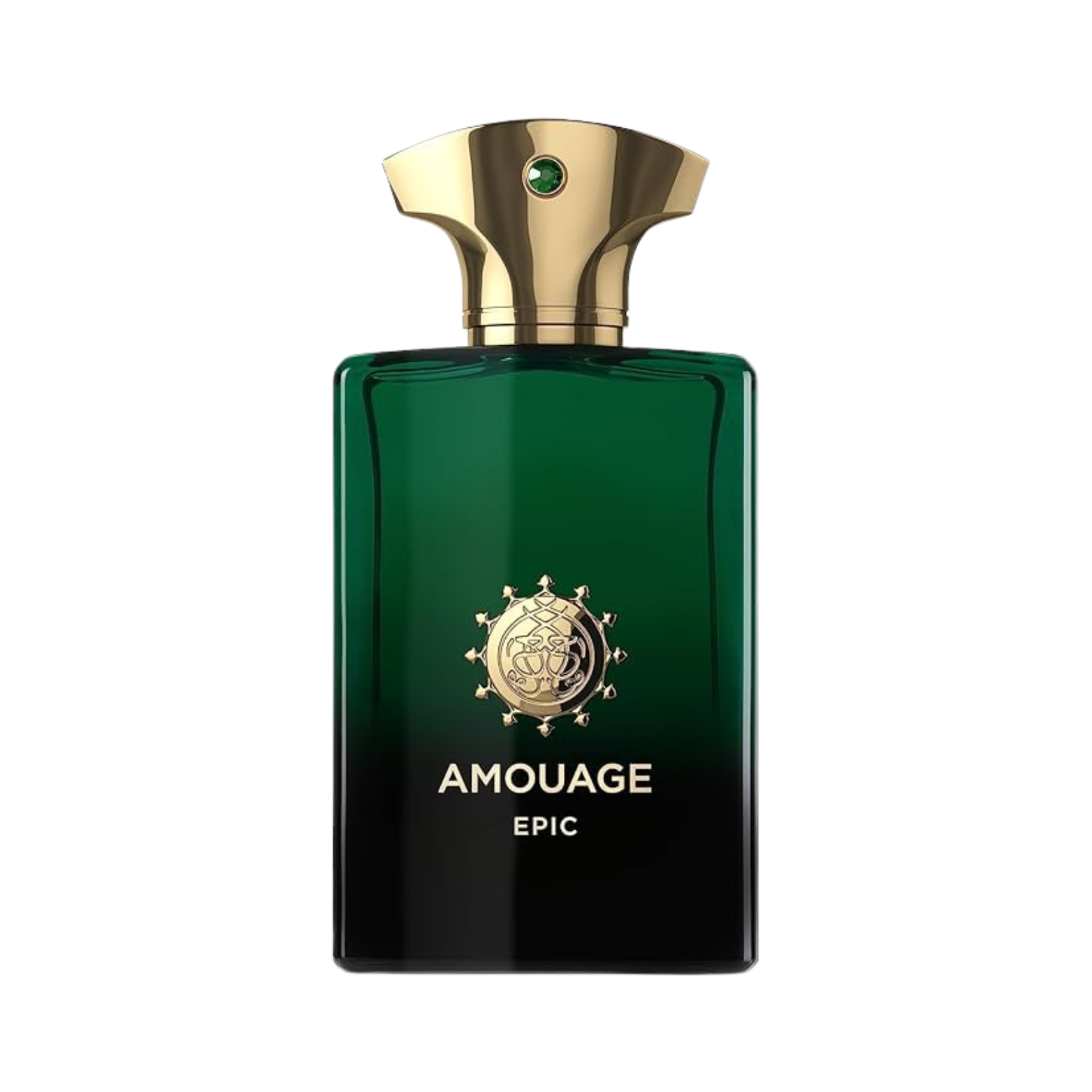 AMOUAGE EPIC EDP FOR MEN 100ML
