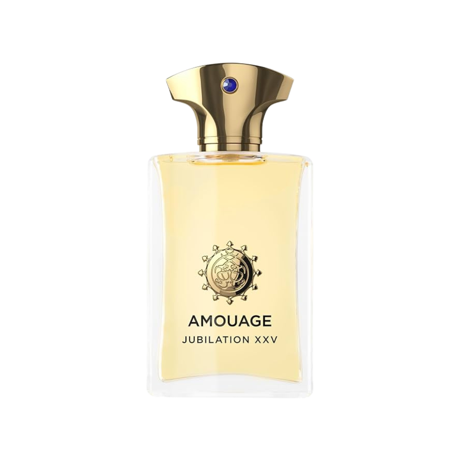 AMOUAGE JUBILATION XXV EDP FOR MEN 100ML