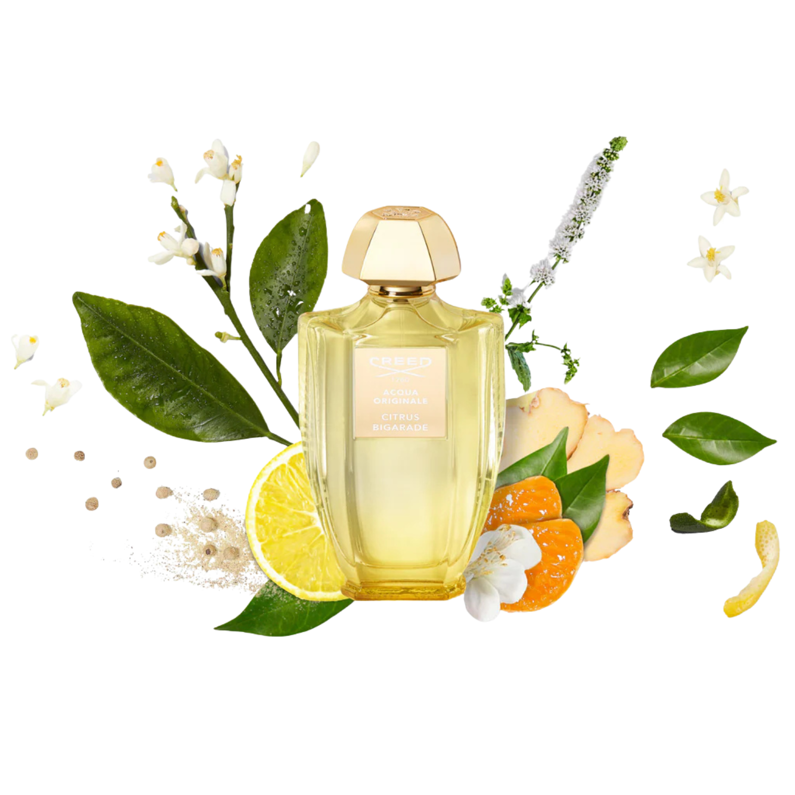 CREED CITRUS BIGARADE EDP FOR UNISEX 100ML