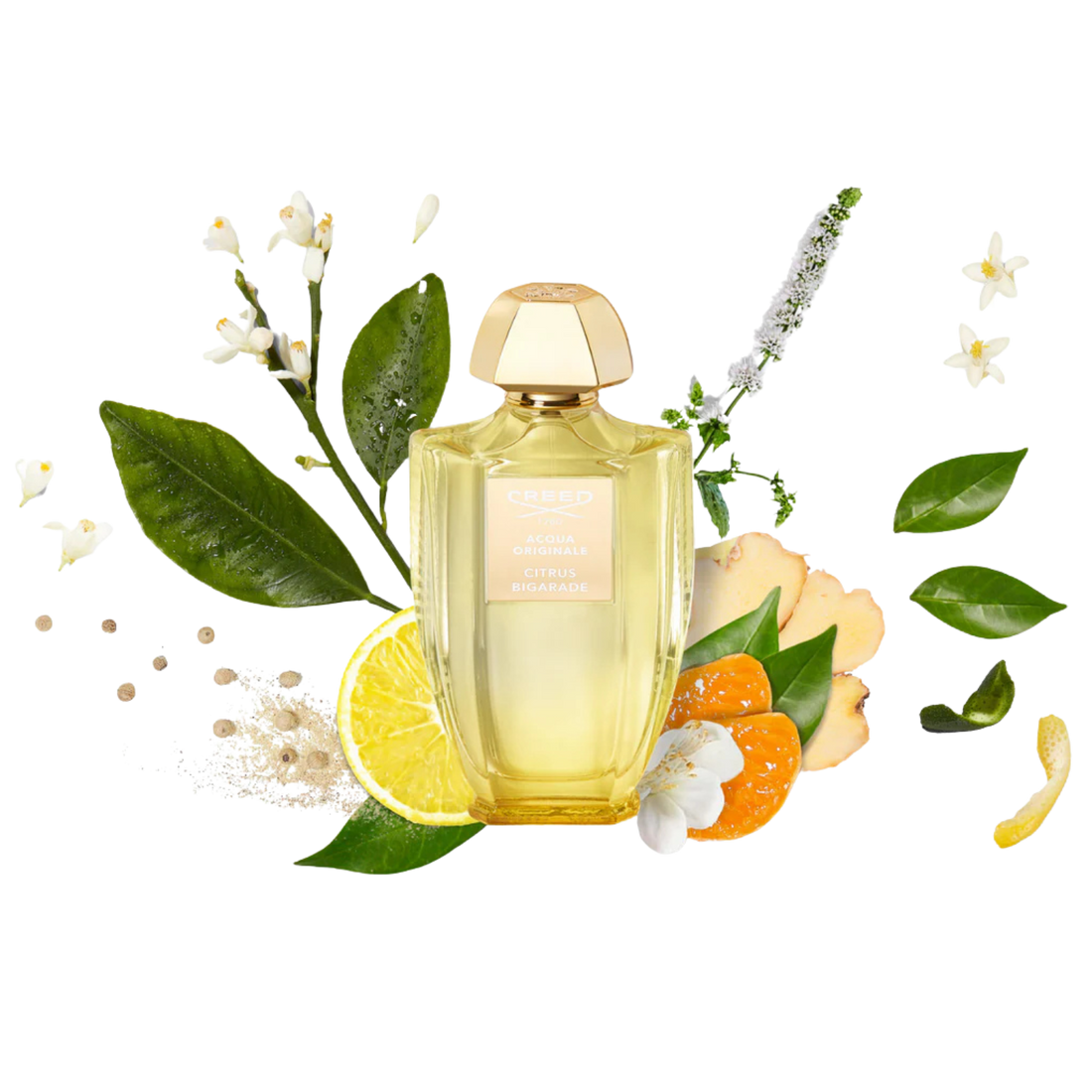 CREED CITRUS BIGARADE EDP FOR UNISEX 100ML