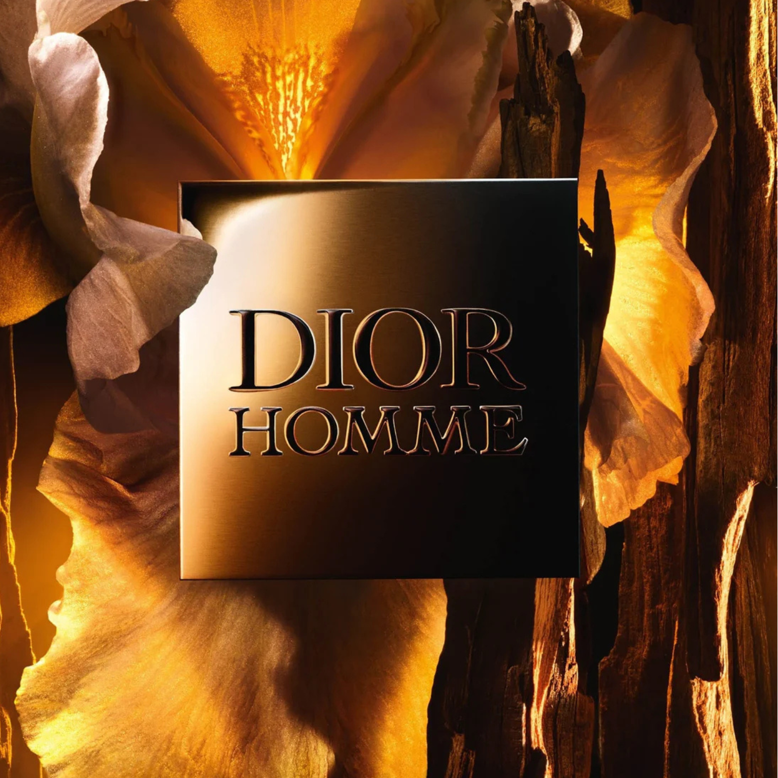 DIOR HOMME PARFUM FOR MEN 100ML