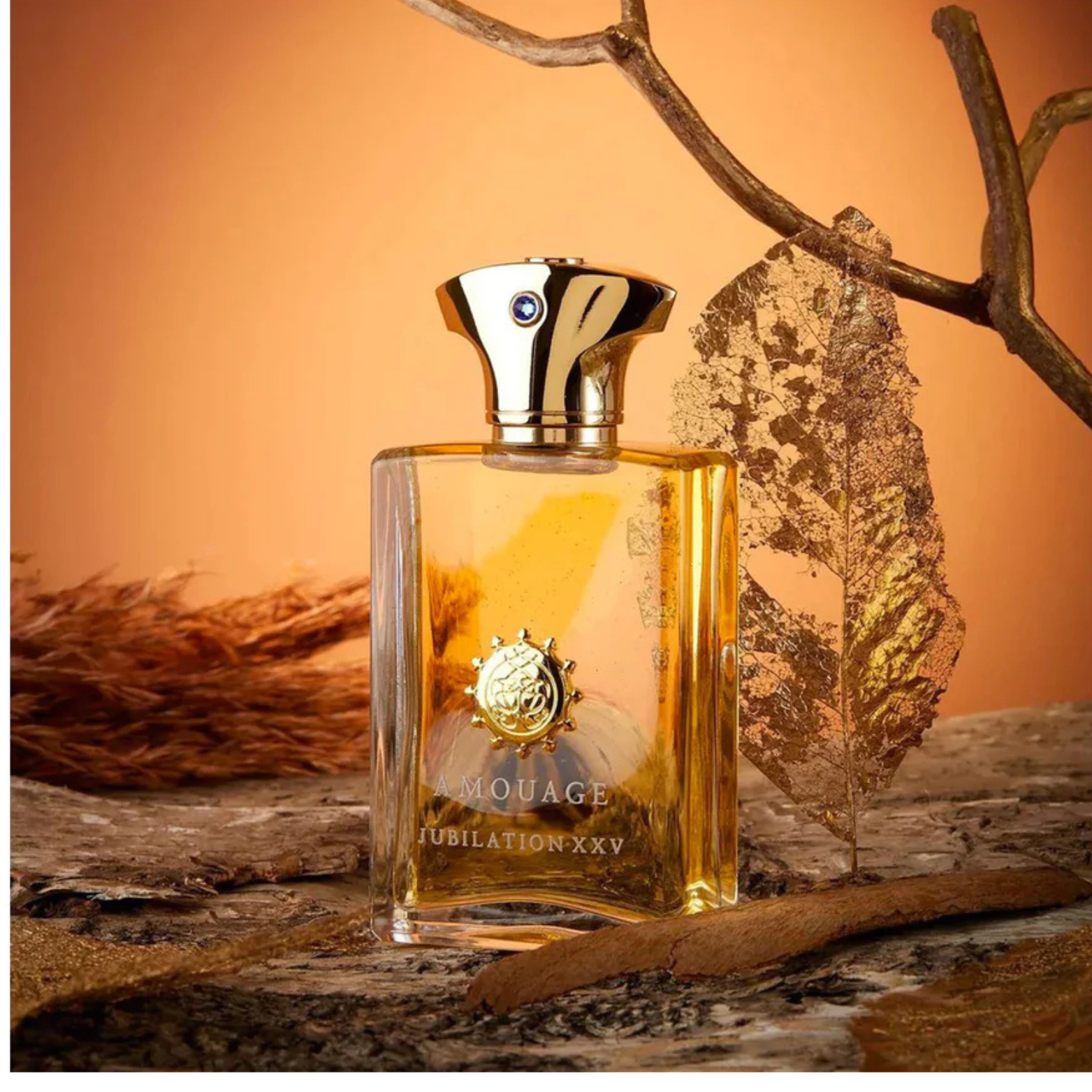 AMOUAGE JUBILATION XXV EDP FOR MEN 100ML