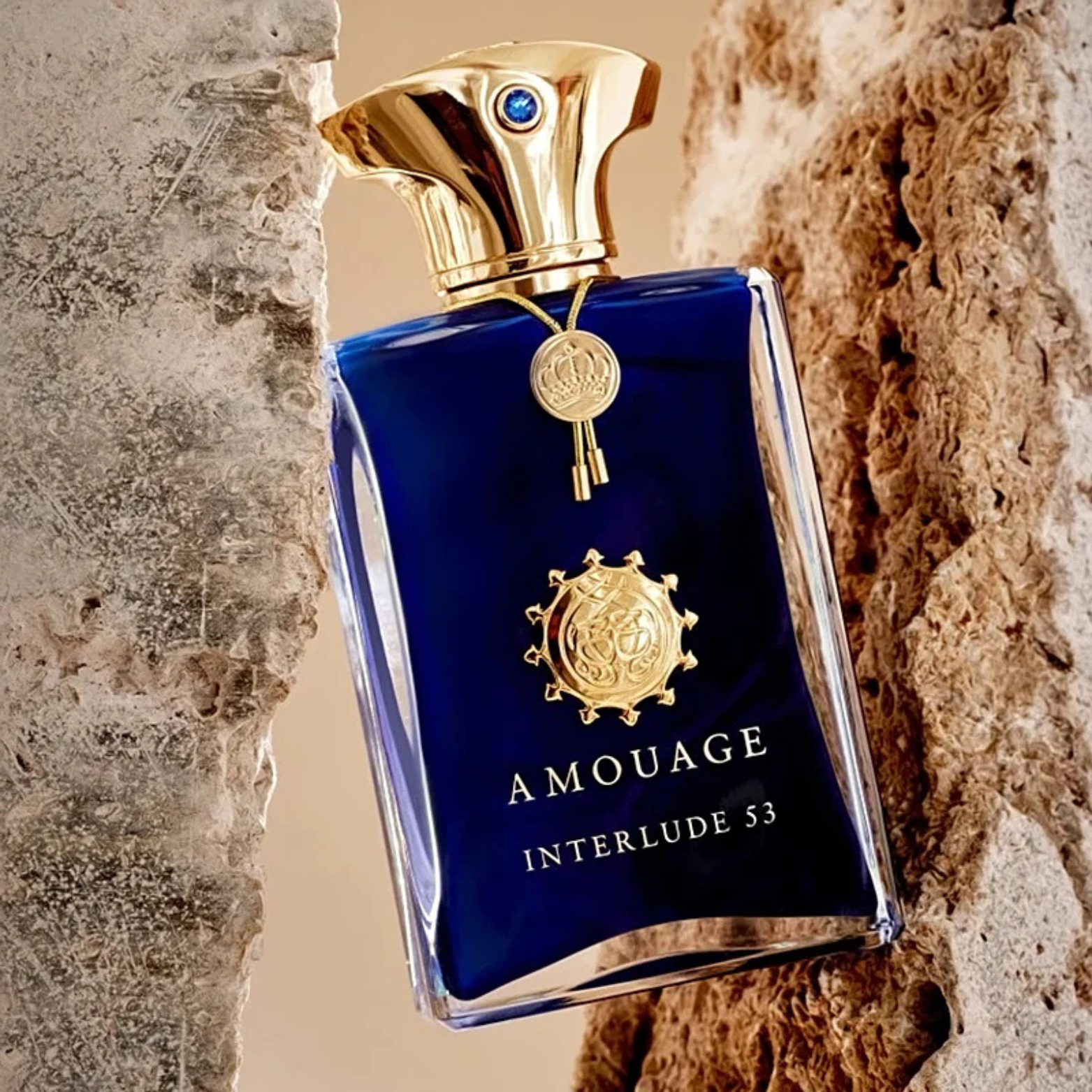 AMOUAGE INTERLUDE 53 EDP FOR MEN 100ML